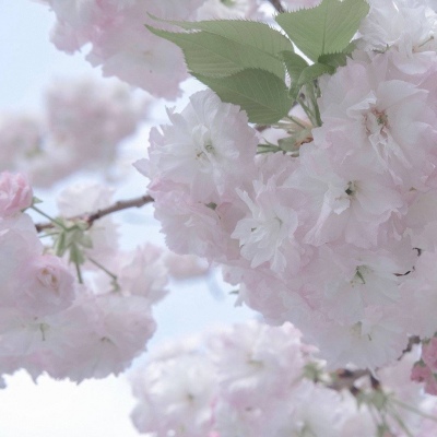 Furry色彩对比技巧兽圈社群